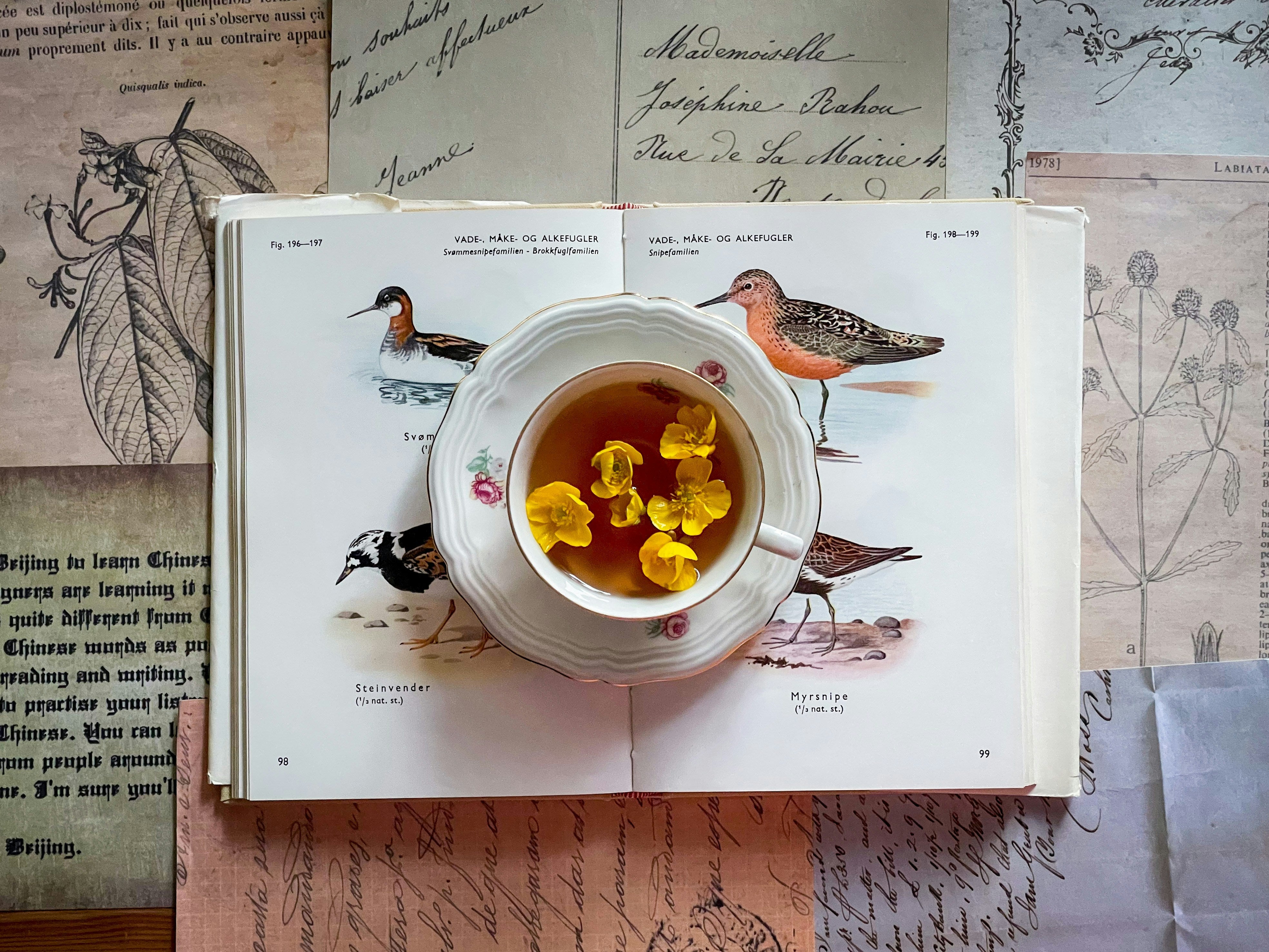 The Hidden Rhythm That’s Draining Your Energy—And How a Tea Ritual Can Help