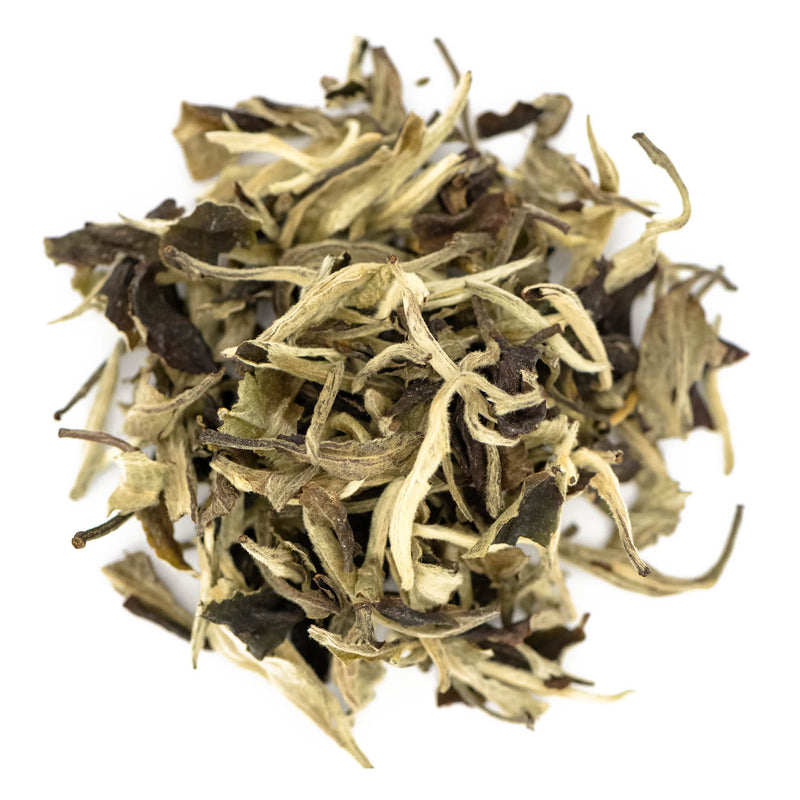 Moonlight White organic white tea